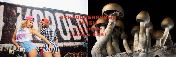 винт Алексеевка